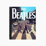 کلاسور طرح بیتلز