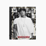 کلاسور طرح امینم