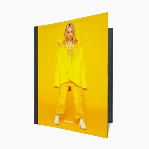 کلاسور طرح بیلی آیلیش