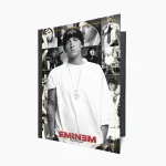 کلاسور امینم eminem