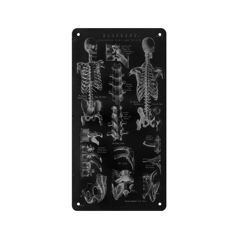 پلاک-فلزی-آناتومی-دیواری