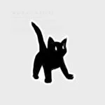 استیکر black cat