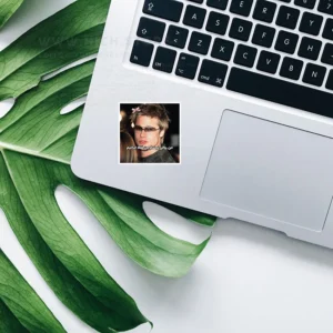 تصویر استیکر استیکر میم بردپیت جدید