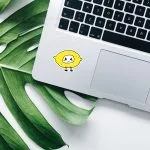 خرید استیکر استیکر لیمو جدید