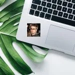 تصویر استیکر استیکر میم بردپیت جدید