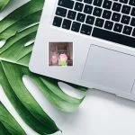 استیکر استیکر میم فارسی پونی ترند امسال