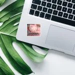 استیکر استیکر میم فارسی کیتی مدل جدید