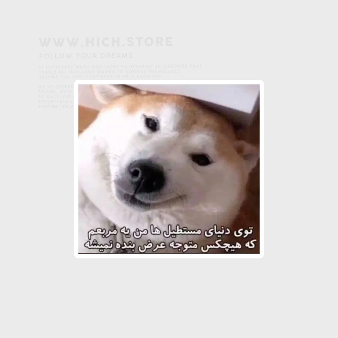 خرید استیکر استیکر هاپو مدل جدید استیکر استیکر هاپو مدل جدید