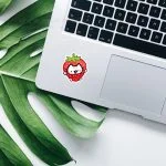 استیکر استیکر پیشی توت فرنگی شیک